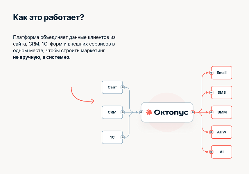 Октопус CDP: автоматизация маркетинга