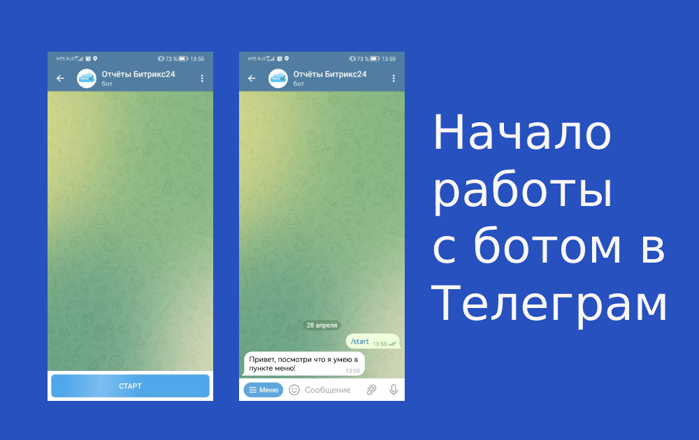 Отчеты в Телеграм